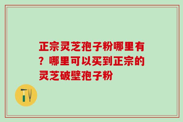 正宗灵芝孢子粉哪里有？哪里可以买到正宗的灵芝破壁孢子粉