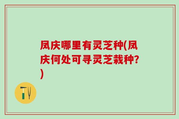 凤庆哪里有灵芝种(凤庆何处可寻灵芝栽种？)