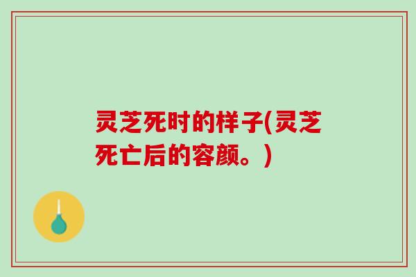 灵芝死时的样子(灵芝死亡后的容颜。) 灵芝死时的样子(灵芝死亡后的容颜。)