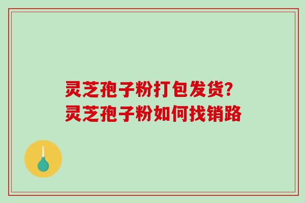 灵芝孢子粉打包发货？灵芝孢子粉如何找销路