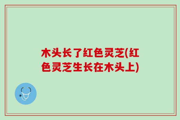 木头长了红色灵芝(红色灵芝生长在木头上)