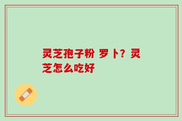 灵芝孢子粉 罗卜？灵芝怎么吃好