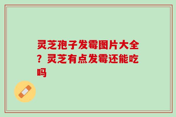 灵芝孢子发霉图片大全？灵芝有点发霉还能吃吗