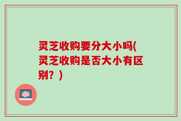灵芝收购要分大小吗(灵芝收购是否大小有区别?) 灵芝收购要分大小吗(灵芝收购是否大小有区别?)