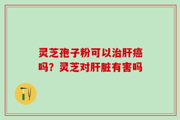灵芝孢子粉可以吗?灵芝对有害吗 灵芝孢子粉可以吗?灵芝对有害吗