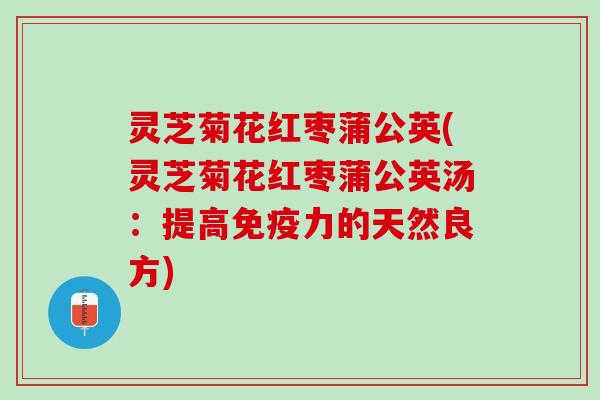灵芝菊花红枣蒲公英(灵芝菊花红枣蒲公英汤：提高免疫力的天然良方)