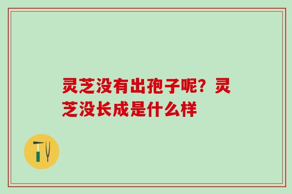 灵芝没有出孢子呢？灵芝没长成是什么样