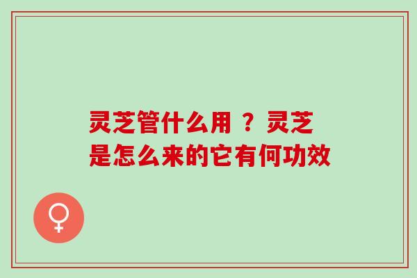 灵芝管什么用 ?灵芝是怎么来的它有何功效 灵芝管什么用 ?灵芝是怎么来的它有何功效
