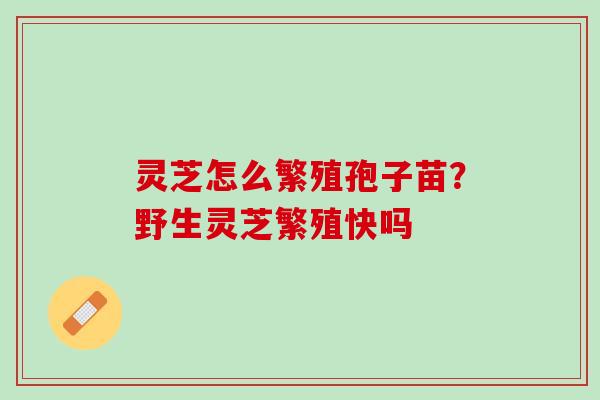 灵芝怎么繁殖孢子苗?野生灵芝繁殖快吗 灵芝怎么繁殖孢子苗?野生灵芝繁殖快吗