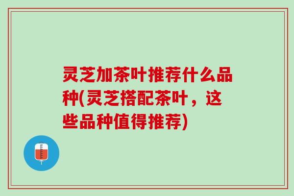 灵芝加茶叶推荐什么品种(灵芝搭配茶叶,这些品种值得推荐) 灵芝加茶叶推荐什么品种(灵芝搭配茶叶,这些品种值得推荐)