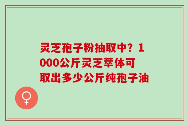 灵芝孢子粉抽取中？1000公斤灵芝萃体可取出多少公斤纯孢子油