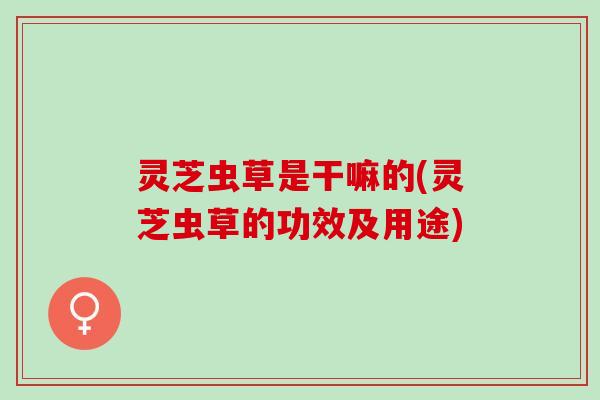 灵芝虫草是干嘛的(灵芝虫草的功效及用途)