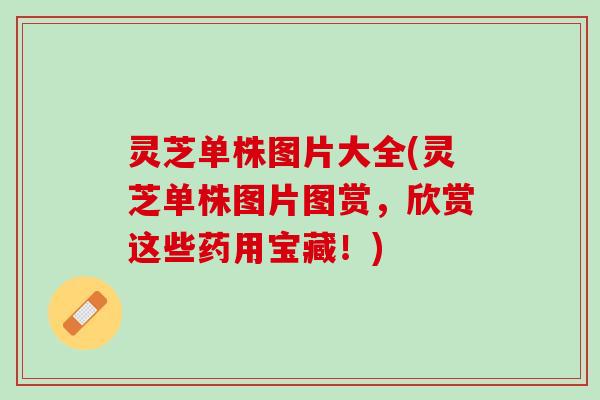 灵芝单株图片大全(灵芝单株图片图赏，欣赏这些药用宝藏！)