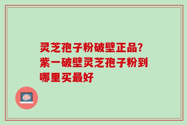 灵芝孢子粉破壁正品？紫一破壁灵芝孢子粉到哪里买最好
