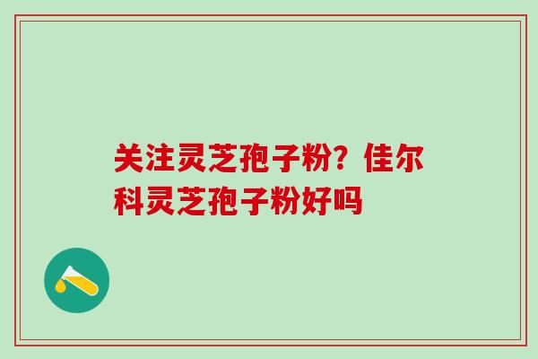 关注灵芝孢子粉？佳尔科灵芝孢子粉好吗