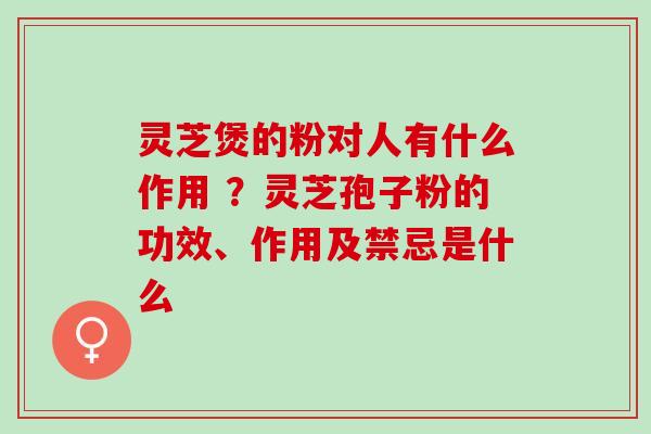 灵芝煲的粉对人有什么作用 ？灵芝孢子粉的功效、作用及禁忌是什么