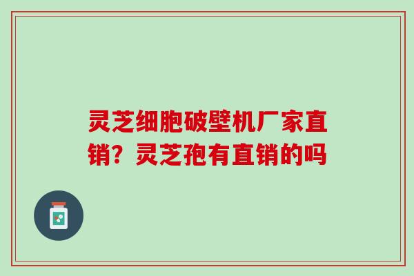 灵芝细胞破壁机厂家直销？灵芝孢有直销的吗