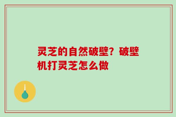 灵芝的自然破壁？破壁机打灵芝怎么做