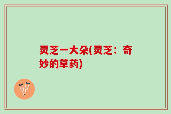 灵芝一大朵(灵芝：奇妙的草药)