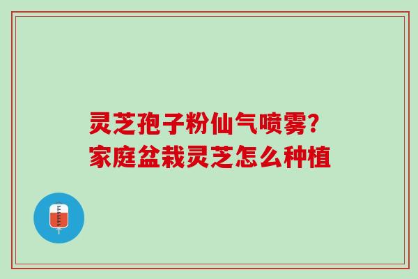 灵芝孢子粉仙气喷雾？家庭盆栽灵芝怎么种植