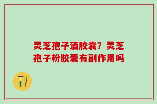 灵芝孢子酒胶囊？灵芝孢子粉胶囊有副作用吗