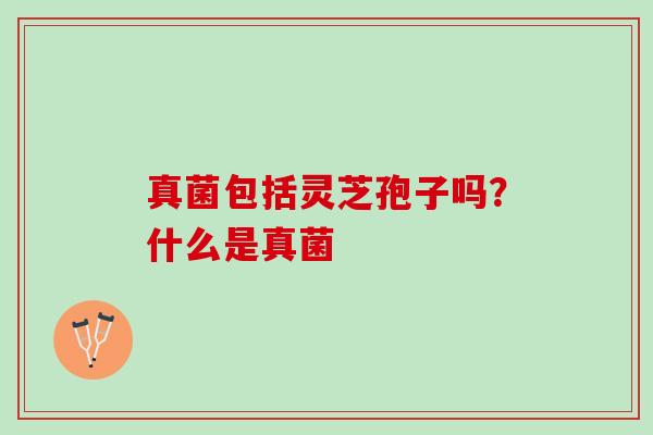 真菌包括灵芝孢子吗？什么是真菌