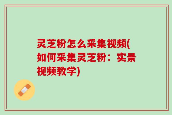 灵芝粉怎么采集视频(如何采集灵芝粉:实景视频教学) 灵芝粉怎么采集视频(如何采集灵芝粉:实景视频教学)