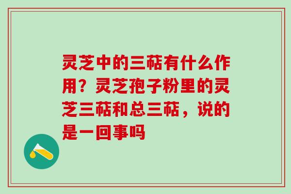 灵芝中的三萜有什么作用？灵芝孢子粉里的灵芝三萜和总三萜，说的是一回事吗