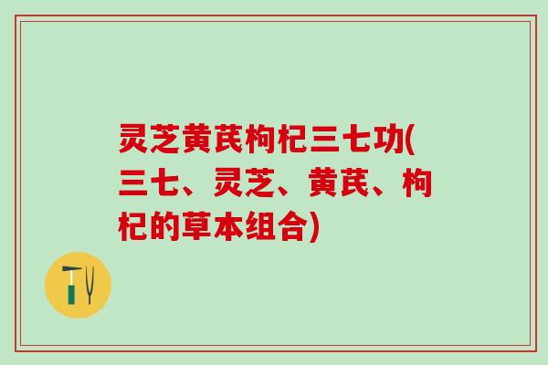 灵芝黄芪枸杞三七功(三七、灵芝、黄芪、枸杞的草本组合)