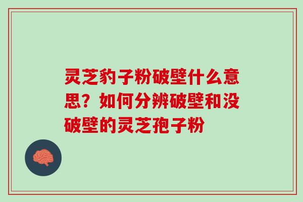 灵芝豹子粉破壁什么意思?如何分辨破壁和没破壁的灵芝孢子粉 灵芝豹子粉破壁什么意思?如何分辨破壁和没破壁的灵芝孢子粉