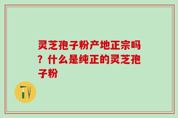 灵芝孢子粉产地正宗吗？什么是纯正的灵芝孢子粉