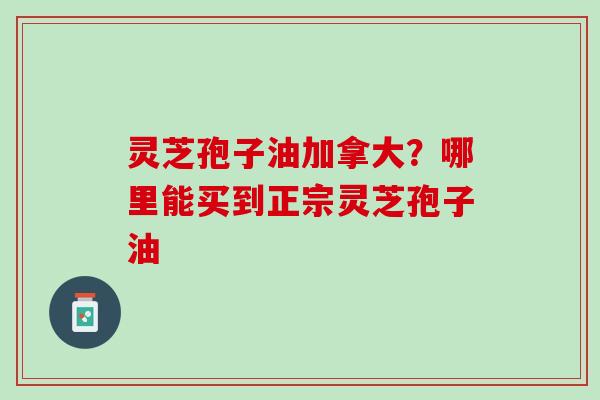 灵芝孢子油加拿大？哪里能买到正宗灵芝孢子油