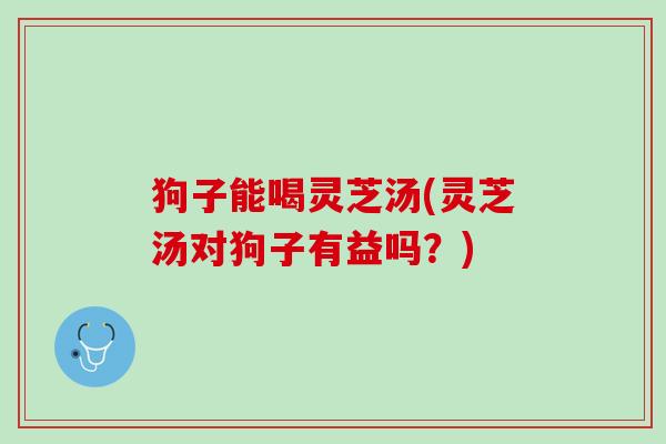 狗子能喝灵芝汤(灵芝汤对狗子有益吗？)