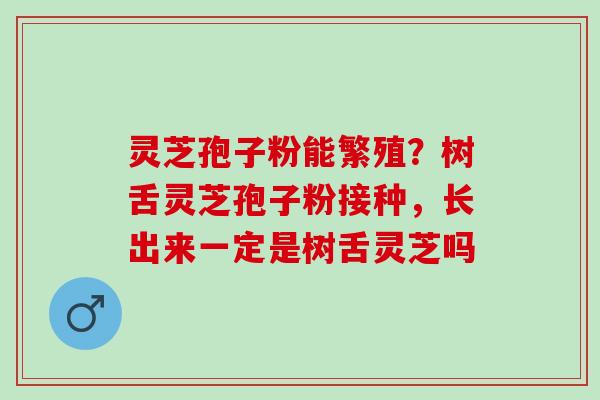 灵芝孢子粉能繁殖？树舌灵芝孢子粉接种，长出来一定是树舌灵芝吗
