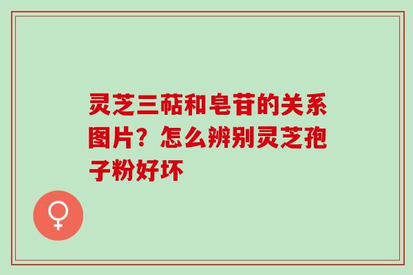 灵芝三萜和皂苷的关系图片？怎么辨别灵芝孢子粉好坏