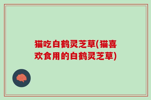 猫吃白鹤灵芝草(猫喜欢食用的白鹤灵芝草)