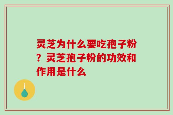 灵芝为什么要吃孢子粉？灵芝孢子粉的功效和作用是什么