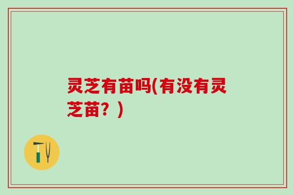 灵芝有苗吗(有没有灵芝苗？)