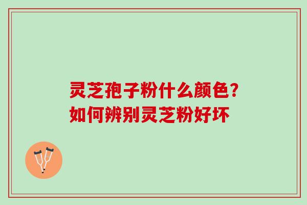灵芝孢子粉什么颜色？如何辨别灵芝粉好坏