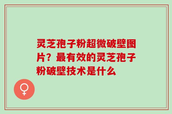 灵芝孢子粉超微破壁图片？最有效的灵芝孢子粉破壁技术是什么
