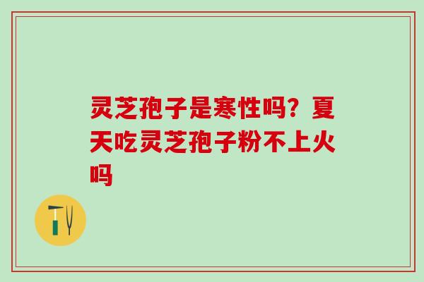 灵芝孢子是寒性吗？夏天吃灵芝孢子粉不上火吗