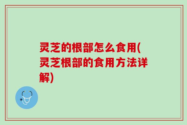 灵芝的根部怎么食用(灵芝根部的食用方法详解)