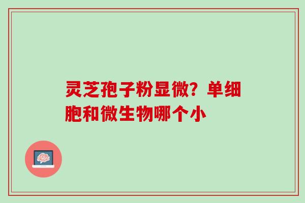 灵芝孢子粉显微？单细胞和微生物哪个小