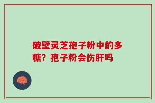 破壁灵芝孢子粉中的多糖？孢子粉会伤肝吗