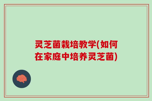 灵芝菌栽培教学(如何在家庭中培养灵芝菌)