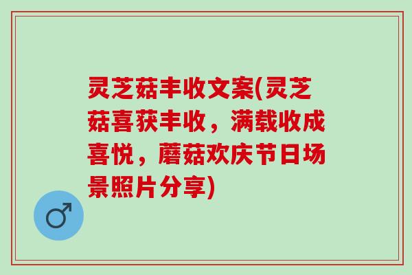 灵芝菇丰收文案(灵芝菇喜获丰收,满载收成喜悦,蘑菇欢庆节日场景照片分享) 灵芝菇丰收文案(灵芝菇喜获丰收,满载收成喜悦,蘑菇欢庆节日场景照片分享)
