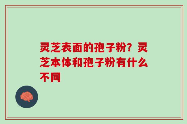 灵芝表面的孢子粉？灵芝本体和孢子粉有什么不同