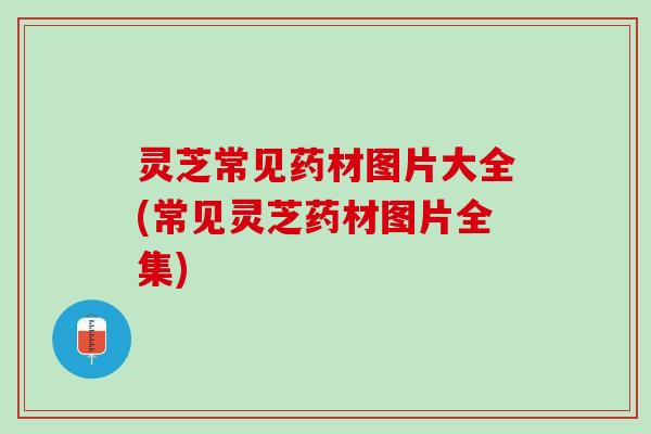 灵芝常见药材图片大全(常见灵芝药材图片全集)