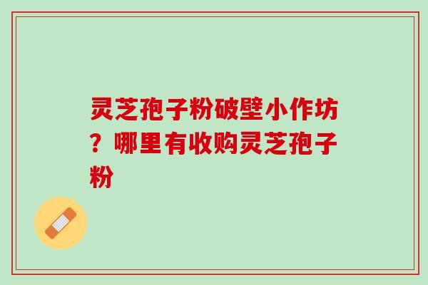 灵芝孢子粉破壁小作坊？哪里有收购灵芝孢子粉