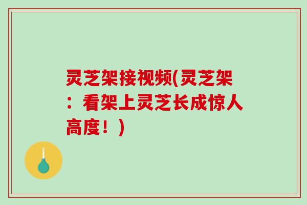 灵芝架接视频(灵芝架：看架上灵芝长成惊人高度！)